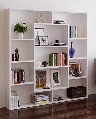 Homidea VENUS Bücherregal - Standregal - Büroregal - Raumtieler für Wohnzimmer/Büro in modernem Design