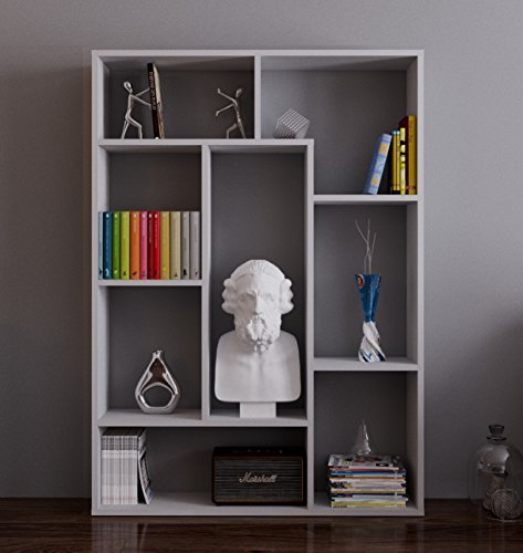 Homidea SPRING Bücherregal - Standregal - Büroregal - Raumtieler für Wohnzimmer/Büro in modernem Design